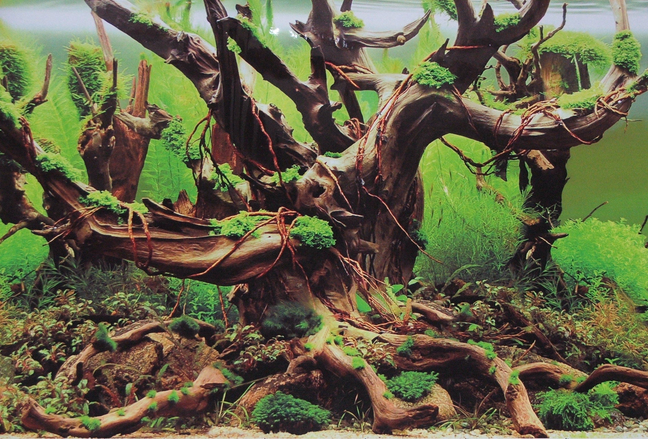 Rückwandfolie Green Secret / Wood Island 48,5 cm hoch
